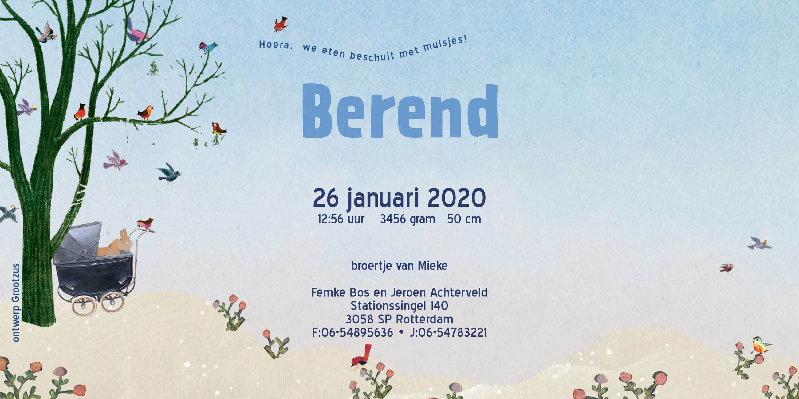 Geboortekaartje aankondiging announcement birth kaartje birthcard card baby babycard Origineel uniek feest vintage retro poesie nostalgie gezellig vrolijk kleurrijk stoer schattig nostalgisch fantasie creatief art kunst illustratie illustration gouden boekje kijkplaat zoekprent zoekplaat zoekboek kinderboek festival reizen gepersonaliseerd Bloemen dieren broer zus kindje meisje jongen genderneutraal gender neutraal cultuur huidskleur zwart donker Turks Chinees halfbloed Marokkaans Surinaams Antilliaans grote broer grote zus kinderwagen wagentje wiegje stroller Pram wandelwagen bos natuur vrolijk grappig fantasie winter sneeuw tuin buiten