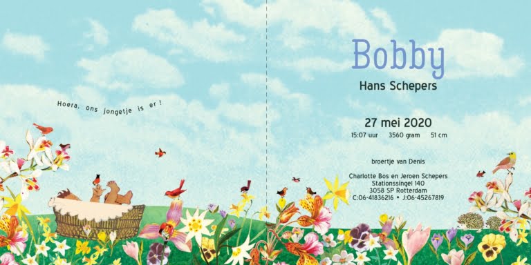 Geboortekaartje aankondiging announcement birth kaartje birthcard card baby babycard Origineel uniek feest vintage retro poesie nostalgie gezellig vrolijk kleurrijk stoer schattig nostalgisch fantasie creatief art kunst illustratie illustration gouden boekje kijkplaat zoekprent zoekplaat zoekboek kinderboek festival reizen gepersonaliseerd Bloemen dieren broer zus kindje meisje jongen genderneutraal gender neutraal cultuur huidskleur zwart donker Turks Chinees halfbloed Marokkaans Surinaams Antilliaans Landschap bos bosdieren konijn das hert Bambi hertjes vos vosje uil haas romantisch poesie lente bloesem buiten