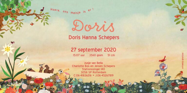 Geboortekaartje aankondiging announcement birth kaartje birthcard card baby babycard Origineel uniek feest vintage retro poesie nostalgie gezellig vrolijk kleurrijk stoer schattig nostalgisch fantasie creatief art kunst illustratie illustration gouden boekje kijkplaat zoekprent zoekplaat zoekboek kinderboek festival reizen gepersonaliseerd Bloemen dieren broer zus kindje meisje jongen genderneutraal gender neutraal cultuur huidskleur zwart donker Turks Chinees halfbloed Marokkaans Surinaams Antilliaans Landschap bos bosdieren konijn das hert Bambi hertjes vos vosje uil haas romantisch poesie nazomer gezellig warm grote zus grote broer