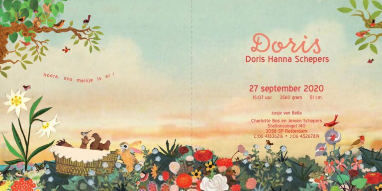 Geboortekaartje aankondiging announcement birth kaartje birthcard card baby babycard Origineel uniek feest vintage retro poesie nostalgie gezellig vrolijk kleurrijk stoer schattig nostalgisch fantasie creatief art kunst illustratie illustration gouden boekje kijkplaat zoekprent zoekplaat zoekboek kinderboek festival reizen gepersonaliseerd Bloemen dieren broer zus kindje meisje jongen genderneutraal gender neutraal cultuur huidskleur zwart donker Turks Chinees halfbloed Marokkaans Surinaams Antilliaans Landschap bos bosdieren konijn das hert Bambi hertjes vos vosje uil haas romantisch poesie nazomer gezellig warm grote zus grote broer