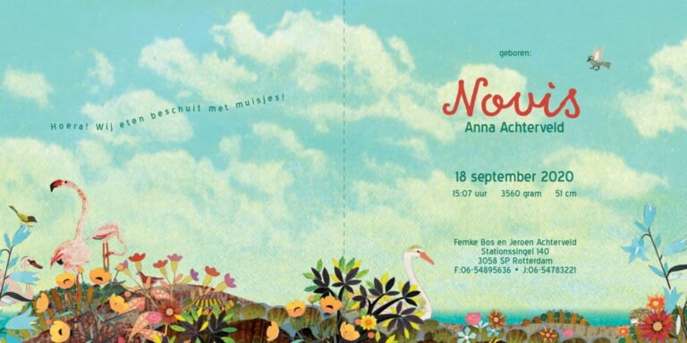 Geboortekaartje aankondiging announcement birth kaartje birthcard card baby babycard Origineel uniek feest vintage retro poesie nostalgie gezellig vrolijk kleurrijk stoer schattig nostalgisch fantasie creatief art kunst illustratie illustration gouden boekje kijkplaat zoekprent zoekplaat zoekboek kinderboek festival reizen gepersonaliseerd Bloemen dieren broer zus kindje meisje jongen genderneutraal gender neutraal cultuur huidskleur zwart donker Turks Chinees halfbloed Marokkaans Surinaams Antilliaans zee bootje zeilen zeilboot zwaan bloemen flamingo herfst