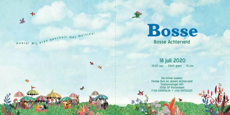 Geboortekaartje aankondiging announcement birth kaartje birthcard card baby babycard Origineel uniek feest vintage retro poesie nostalgie gezellig vrolijk kleurrijk stoer schattig nostalgisch fantasie creatief art kunst illustratie illustration gouden boekje kijkplaat zoekprent zoekplaat zoekboek kinderboek festival reizen gepersonaliseerd Bloemen dieren broer zus kindje meisje jongen genderneutraal gender neutraal cultuur huidskleur zwart donker Turks Chinees halfbloed Marokkaans Surinaams Antilliaans festival Lowlands parade Pinkpop ballonnen vlaggetjes feest feestelijk dieren festival life reuzenrad romantisch