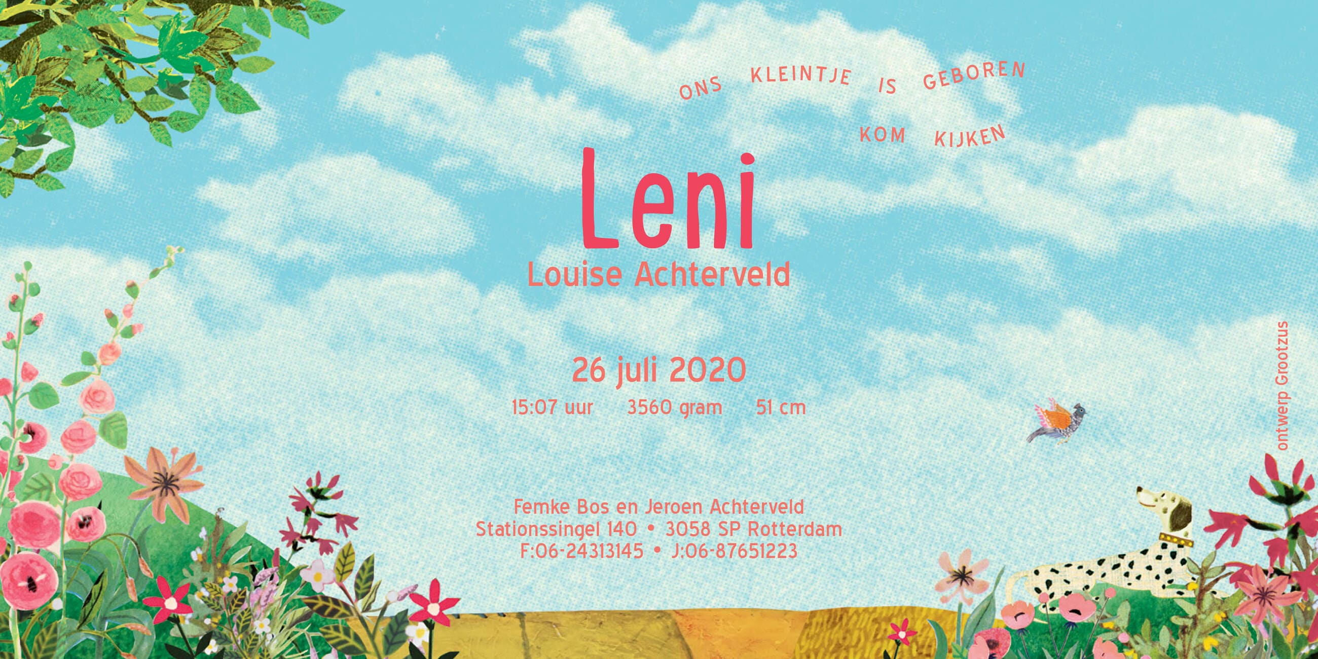 Geboortekaartje aankondiging announcement birth kaartje birthcard card baby babycard Origineel uniek feest vintage retro poesie nostalgie gezellig vrolijk kleurrijk stoer schattig nostalgisch fantasie creatief art kunst illustratie illustration gouden boekje kijkplaat zoekprent zoekplaat zoekboek kinderboek festival reizen gepersonaliseerd Bloemen dieren broer zus kindje meisje jongen genderneutraal gender neutraal cultuur huidskleur zwart donker Turks Chinees halfbloed Marokkaans Surinaams Antilliaans buiten huis eigenhuis hond huisdier buiten tuin poes rozen stokrozen dalmatiër pietepaf serre bloemen landschap hek paadje pad