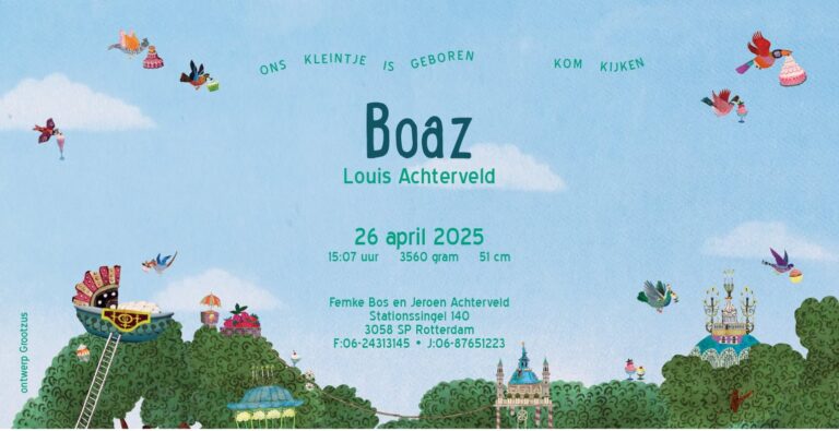 Geboortekaartje, aankondiging, announcement, birth, kaartje, birthcard, card, baby, babycard, Origineel, uniek, feest, vintage, retro, poesie, nostalgie, gezellig, vrolijk, kleurrijk, stoer, schattig,nostalgisch, art, kunst, illustratie, illustration, gouden boekje, kijkplaat, zoekprent, zoekplaat, zoekboek, kinderboek, prentenboek, festival, reizen, gepersonaliseerd, Bloemen, dieren, broer, zus, kindje, sibling, meisje, jongen, genderneutraal, gender, neutraal, cultuur, huidskleur, taart, snoep, eten, lekker, traktatie, boomhut, fantasiekasteel, boomhut, sprookje, vogels, gebakjes, cupcakes, beschuit met muisjes