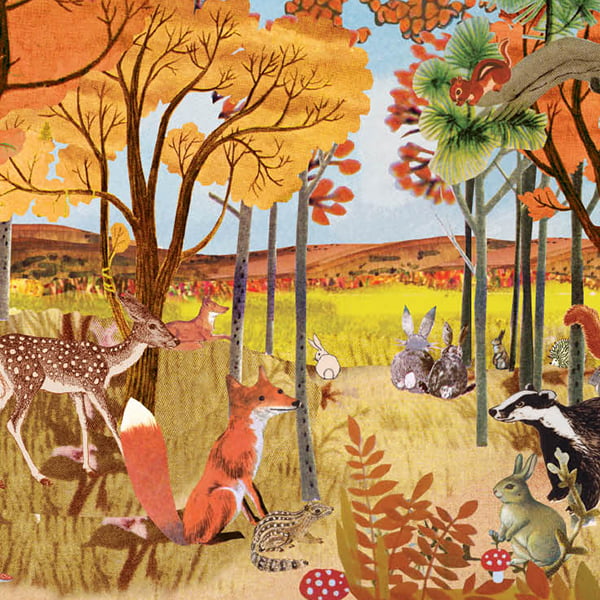 Geboortekaartje met najaar bos in herfst kleuren met lief vosje hertjes konijnen en andere bosdieren