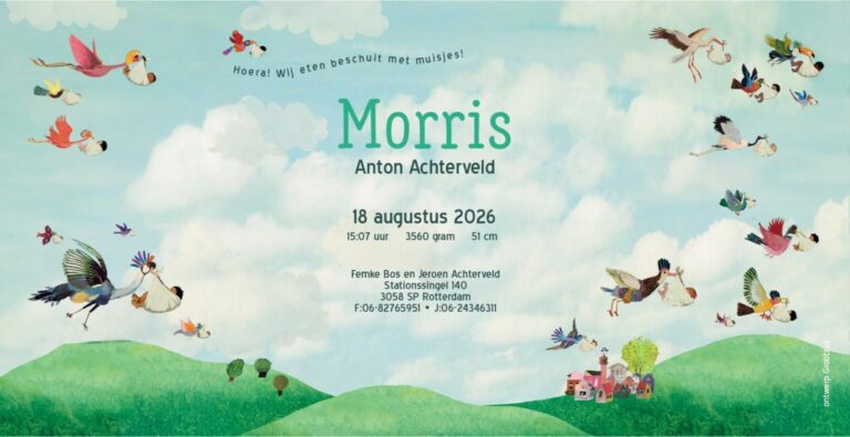 Origineel, uniek, feest, vintage, retro, poesie, nostalgie, gezellig, vrolijk, kleurrijk, stoer, schattig, nostalgisch, fantasie, creatief, art, kunst, illustratie, illustration, kijkplaat, zoekprent, zoekplaat, reizen, gepersonaliseerd, dieren, broer, zus, kindje, meisje, jongen, genderneutraal, gender, neutraal, cultuur, huidskleur, zwart, donker, Turks, Chinees, Marokkaans, Surinaams, Antilliaans, multiculti, multi, culti, ooievaar kraanvogel, vogel, daar komen de kindertjes vandaan, baby, kraam, geboorte