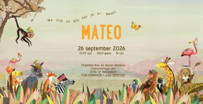Geboortekaartje aankondiging announcement birth kaartje birthcard card baby babycard Origineel uniek feest vintage retro poesie nostalgie gezellig vrolijk kleurrijk stoer schattig nostalgisch fantasie creatief art kunst illustratie illustration gouden boekje kijkplaat zoekprent zoekplaat zoekboek kinderboek festival reizen gepersonaliseerd Bloemen dieren broer zus kindje meisje jongen genderneutraal gender neutraal cultuur huidskleur zwart donker Turks Chinees halfbloed Marokkaans Surinaams Antilliaans safari bus safari's dieren bigfive giraffe flamingo pinguïn zebra beer ezel hond poes vlinder alpaca landschap afrika vosje herfst paddenstoelen rood met witte stippen bladeren herfst najaar rood warm