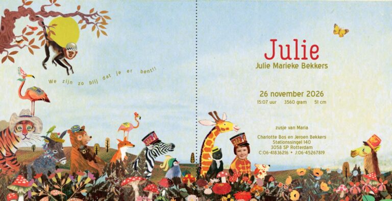Geboortekaartje aankondiging announcement birth kaartje birthcard card baby babycard Origineel uniek feest vintage retro poesie nostalgie gezellig vrolijk kleurrijk stoer schattig nostalgisch fantasie creatief art kunst illustratie illustration gouden boekje kijkplaat zoekprent zoekplaat zoekboek kinderboek festival reizen gepersonaliseerd Bloemen dieren broer zus kindje meisje jongen genderneutraal gender neutraal cultuur huidskleur zwart donker Turks Chinees halfbloed Marokkaans Surinaams Antilliaans safari bus safari's dieren bigfive giraffe flamingo pinguïn zebra beer ezel hond poes vlinder alpaca landschap afrika vosje herfst paddenstoelen rood met witte stippen bladeren herfst najaar rood warm grote broer grote zus siblings grootbroer