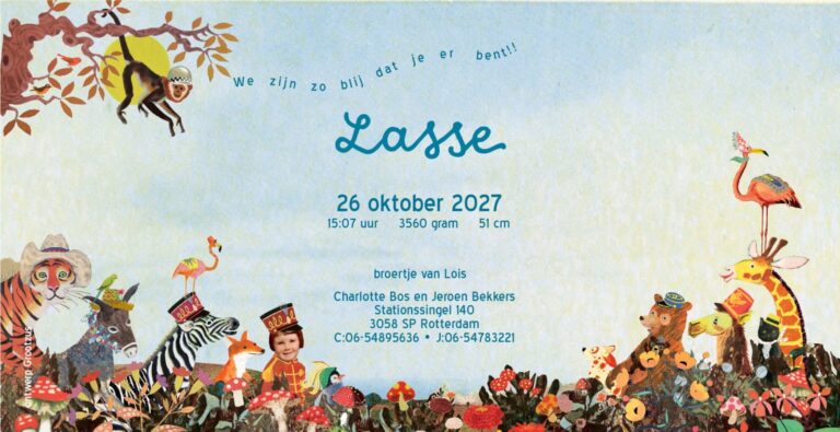 Geboortekaartje aankondiging announcement birth kaartje birthcard card baby babycard Origineel uniek feest vintage retro poesie nostalgie gezellig vrolijk kleurrijk stoer schattig nostalgisch fantasie creatief art kunst illustratie illustration gouden boekje kijkplaat zoekprent zoekplaat zoekboek kinderboek festival reizen gepersonaliseerd Bloemen dieren broer zus kindje meisje jongen genderneutraal gender neutraal cultuur huidskleur zwart donker Turks Chinees halfbloed Marokkaans Surinaams Antilliaans safari bus safari's dieren bigfive giraffe flamingo pinguïn zebra beer ezel hond poes vlinder alpaca landschap afrika vosje herfst paddenstoelen rood met witte stippen bladeren herfst najaar rood warm grote broer grote zus siblings grootbroer