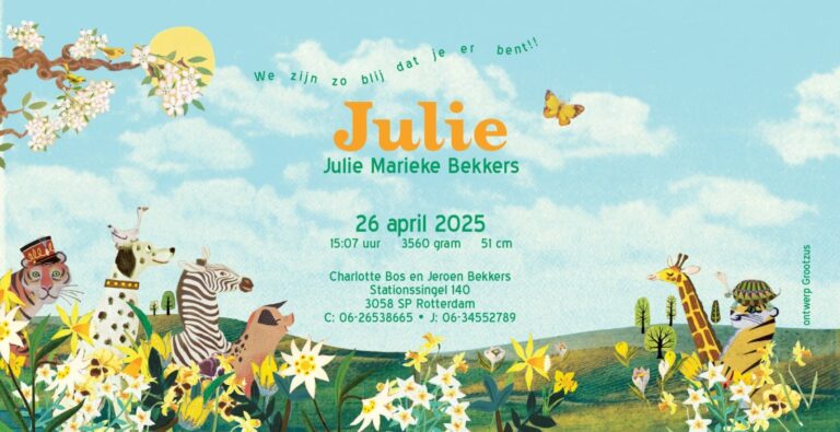 Geboortekaartje aankondiging announcement birth kaartje birthcard card baby babycard Origineel uniek feest vintage retro poesie nostalgie gezellig vrolijk kleurrijk stoer schattig nostalgisch fantasie creatief art kunst illustratie illustration gouden boekje kijkplaat zoekprent zoekplaat zoekboek kinderboek festival reizen gepersonaliseerd Bloemen dieren broer zus kindje meisje jongen genderneutraal gender neutraal cultuur huidskleur zwart donker Turks Chinees halfbloed Marokkaans Surinaams Antilliaans safari bus safari's dieren bigfive giraffe flamingo pinguïn zebra beer ezel hond poes vlinder alpaca landschap afrika vosje lente voorjaar krokus narcis nieuw begin geel groen