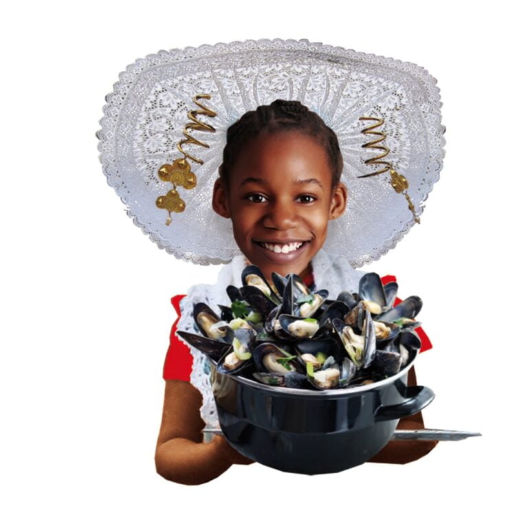 cover illustratie en binnenwerk illustraties voor de junior bosatlas nederland