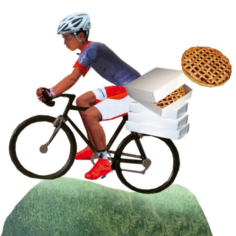 cover illustratie en binnenwerk illustraties voor de junior bosatlas nederland