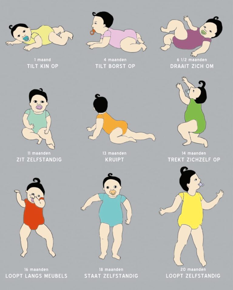 infographic over de motorische ontwikkeling uit 8216de ontwikkeling van het kind8217