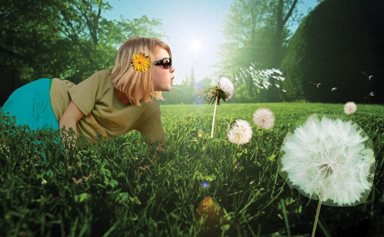 selectie illustraties voor het meiden tijdschrift fancy