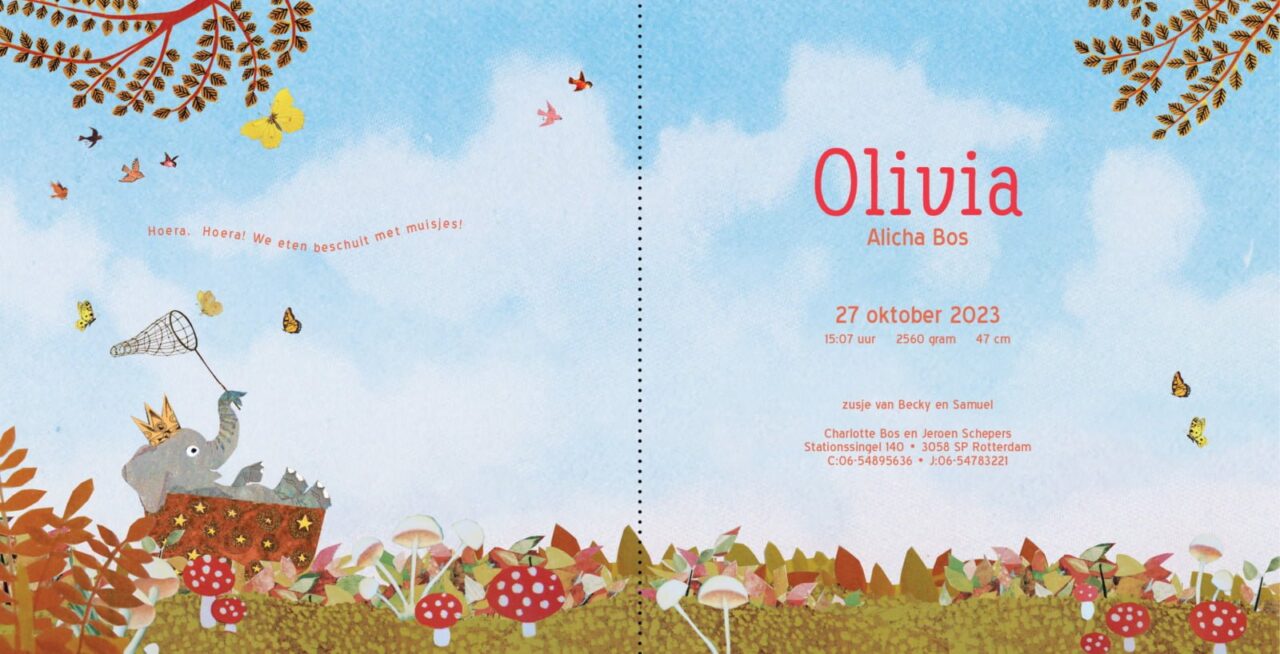 Geboortekaartje, aankondiging, announcement, birth, kaartje, birthcard, card, baby, babycard, Origineel, uniek, feest, vintage, retro, poesie, nostalgie, gezellig, vrolijk, grappig, kleurrijk, stoer, schattig, nostalgisch, fantasie, creatief, art, kunst, illustratie, illustration, kijkplaat, zoekprent, zoekplaat, zoekboek, kinderboek, prentenboek, festival reizen, gepersonaliseerd, Bloemen, dieren, broer, zus, kindje, meisje, jongen, genderneutraal, gender, neutraal, cultuur, inclusief, grote broer grote zus, siblings, grootbroer, olifant, Olli, familie, gezin, bakfiets, bakfietsmoeders, vlinders, herfst, bruin, oker, paddestoelen, herfstbos, derde kind,
