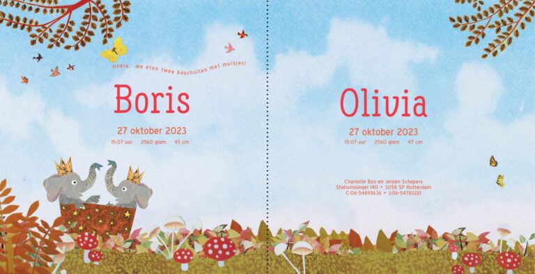 Geboortekaartje, aankondiging, announcement, birth, kaartje, birthcard, card, baby, babycard, Origineel, uniek, feest, vintage, retro, poesie, nostalgie, gezellig, vrolijk, grappig, kleurrijk, stoer, schattig, nostalgisch, fantasie, creatief, art, kunst, illustratie, illustration, kijkplaat, zoekprent, zoekplaat, zoekboek, kinderboek, prentenboek, festival reizen, gepersonaliseerd, Bloemen, dieren, broer, zus, kindje, meisje, jongen, genderneutraal, gender, neutraal, cultuur, inclusief, grote broer grote zus, siblings, grootbroer, olifant, Olli, familie, gezin, bakfiets, bakfietsmoeders, vlinders, herfst, bruin, oker, paddestoelen, herfstbos, tweeling, meerling, twins, twin, twee kindjes