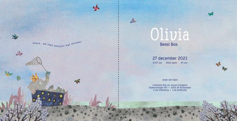 Geboortekaartje, aankondiging, announcement, birth, kaartje, birthcard, card, baby, babycard, Origineel, uniek, feest, vintage, retro, poesie, nostalgie, gezellig, vrolijk, grappig, kleurrijk, stoer, schattig, nostalgisch, fantasie, creatief, art, kunst, illustratie, illustration, kijkplaat, zoekprent, zoekplaat, zoekboek, kinderboek, prentenboek, festival reizen, gepersonaliseerd, Bloemen, dieren, broer, zus, kindje, meisje, jongen, genderneutraal, gender, neutraal, cultuur, inclusief, grote broer grote zus, siblings, grootbroer, olifant, Olli, familie, gezin, bakfiets, bakfietsmoeders, vlinders, tweede kind, winter, ijs, sneeuw