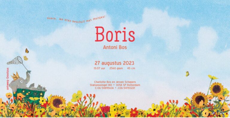 Geboortekaartje, aankondiging, announcement, birth, kaartje, birthcard, card, baby, babycard, Origineel, uniek, feest, vintage, retro, poesie, nostalgie, gezellig, vrolijk, grappig, kleurrijk, stoer, schattig, nostalgisch, fantasie, creatief, art, kunst, illustratie, illustration, kijkplaat, zoekprent, zoekplaat, zoekboek, kinderboek, prentenboek, festival reizen, gepersonaliseerd, Bloemen, dieren, broer, zus, kindje, meisje, jongen, genderneutraal, gender, neutraal, cultuur, inclusief, grote broer grote zus, siblings, grootbroer, olifant, Olli, familie, gezin, bakfiets, bakfietsmoeders, vlinders, zomer, zonnebloem, palm, palmbomen, geel, eerste kind,