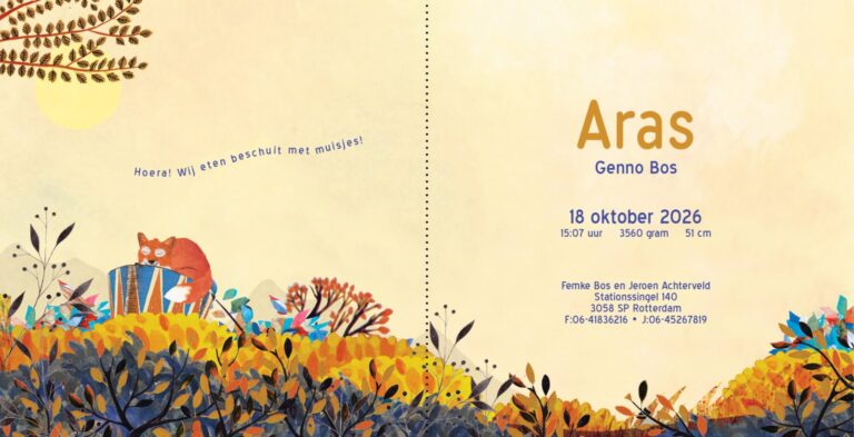 Geboortekaartje, aankondiging, announcement, birth, kaartje, birthcard, card, baby, babycard, Origineel, uniek, feest, vintage, retro, poesie, nostalgie, gezellig, vrolijk, grappig, kleurrijk, stoer, schattig, nostalgisch, fantasie, creatief, art, kunst, illustratie, illustration, kijkplaat, zoekprent, zoekplaat, zoekboek, kinderboek, prentenboek, festival reizen, gepersonaliseerd, Bloemen, dieren, broer, zus, kindje, meisje, jongen, genderneutraal, gender, neutraal, cultuur, inclusief, grote broer grote zus, siblings, grootbroer, vos, vosjes, familie, gezin, bakfiets, bakfietsmoeders, vlinders, derde kind, nazomer, herfst, zomer, Indian summer, vallende blaadjes,zwanger, warm, zoet