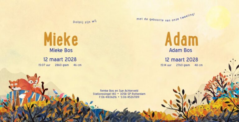 Geboortekaartje, aankondiging, announcement, birth, kaartje, birthcard, card, baby, babycard, Origineel, uniek, feest, vintage, retro, poesie, nostalgie, gezellig, vrolijk, grappig, kleurrijk, stoer, schattig, nostalgisch, fantasie, creatief, art, kunst, illustratie, illustration, kijkplaat, zoekprent, zoekplaat, zoekboek, kinderboek, prentenboek, festival reizen, gepersonaliseerd, Bloemen, dieren, broer, zus, kindje, meisje, jongen, genderneutraal, gender, neutraal, cultuur, inclusief, grote broer grote zus, siblings, grootbroer, vos, vosjes, familie, gezin, bakfiets, bakfietsmoeders, vlinders, vierde kind, nazomer, herfst, zomer, Indian summer, vallende blaadjes,zwanger, warm, zoet, tweeling, meerling, twins, twin, twee kindjes