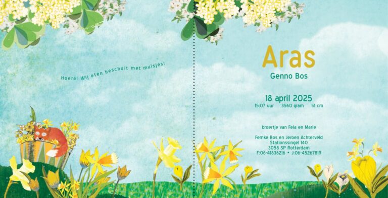 Geboortekaartje, aankondiging, announcement, birth, kaartje, birthcard, card, baby, babycard, Origineel, uniek, feest, vintage, retro, poesie, nostalgie, gezellig, vrolijk, grappig, kleurrijk, stoer, schattig, nostalgisch, fantasie, creatief, art, kunst, illustratie, illustration, kijkplaat, zoekprent, zoekplaat, zoekboek, kinderboek, prentenboek, festival reizen, gepersonaliseerd, Bloemen, dieren, broer, zus, kindje, meisje, jongen, genderneutraal, gender, neutraal, cultuur, inclusief, grote broer grote zus, siblings, grootbroer, vos, vosjes, familie, gezin, bakfiets, bakfietsmoeders, vlinders, derde kind, lente, narcis, geel, tulp, krokus, bloesem, meer, rivier ,zwanger, warm, zoet