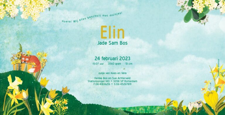 Geboortekaartje, aankondiging, announcement, birth, kaartje, birthcard, card, baby, babycard, Origineel, uniek, feest, vintage, retro, poesie, nostalgie, gezellig, vrolijk, grappig, kleurrijk, stoer, schattig, nostalgisch, fantasie, creatief, art, kunst, illustratie, illustration, kijkplaat, zoekprent, zoekplaat, zoekboek, kinderboek, prentenboek, festival reizen, gepersonaliseerd, Bloemen, dieren, broer, zus, kindje, meisje, jongen, genderneutraal, gender, neutraal, cultuur, inclusief, grote broer grote zus, siblings, grootbroer, vos, vosjes, familie, gezin, bakfiets, bakfietsmoeders, vlinders, derde kind, lente, narcis, geel, tulp, krokus, bloesem, meer, rivier ,zwanger, warm, zoet