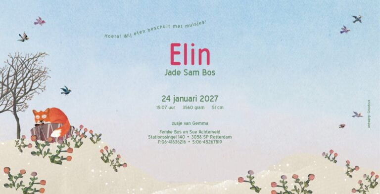 Geboortekaartje, aankondiging, announcement, birth, kaartje, birthcard, card, baby, babycard, Origineel, uniek, feest, vintage, retro, poesie, nostalgie, gezellig, vrolijk, grappig, kleurrijk, stoer, schattig, nostalgisch, fantasie, creatief, art, kunst, illustratie, illustration, kijkplaat, zoekprent, zoekplaat, zoekboek, kinderboek, prentenboek, festival reizen, gepersonaliseerd, Bloemen, dieren, broer, zus, kindje, meisje, jongen, genderneutraal, gender, neutraal, cultuur, inclusief, grote broer grote zus, siblings, grootbroer, vos, vosjes, familie, gezin, bakfiets, bakfietsmoeders, vlinders, tweede kind, winter, ijs, sneeuw, sjaal