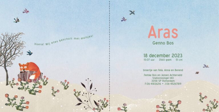 Geboortekaartje, aankondiging, announcement, birth, kaartje, birthcard, card, baby, babycard, Origineel, uniek, feest, vintage, retro, poesie, nostalgie, gezellig, vrolijk, grappig, kleurrijk, stoer, schattig, nostalgisch, fantasie, creatief, art, kunst, illustratie, illustration, kijkplaat, zoekprent, zoekplaat, zoekboek, kinderboek, prentenboek, festival reizen, gepersonaliseerd, Bloemen, dieren, broer, zus, kindje, meisje, jongen, genderneutraal, gender, neutraal, cultuur, inclusief, grote broer grote zus, siblings, grootbroer, vos, vosjes, familie, gezin, bakfiets, bakfietsmoeders, vlinders, vierde kind, winter, ijs, sneeuw, sjaal