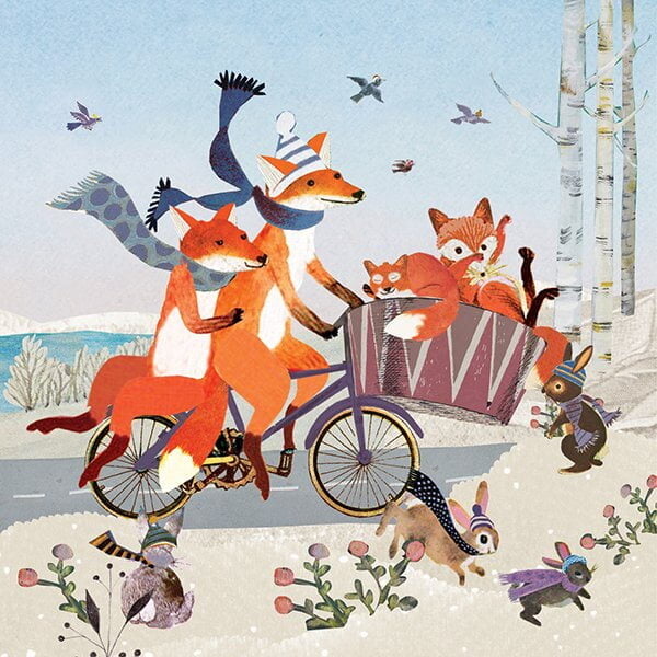 Geboortekaartje, aankondiging, announcement, birth, kaartje, birthcard, card, baby, babycard, Origineel, uniek, feest, vintage, retro, poesie, nostalgie, gezellig, vrolijk, grappig, kleurrijk, stoer, schattig, nostalgisch, fantasie, creatief, art, kunst, illustratie, illustration, kijkplaat, zoekprent, zoekplaat, zoekboek, kinderboek, prentenboek, festival reizen, gepersonaliseerd, Bloemen, dieren, broer, zus, kindje, meisje, jongen, genderneutraal, gender, neutraal, cultuur, inclusief, grote broer grote zus, siblings, grootbroer, vos, vosjes, familie, gezin, bakfiets, bakfietsmoeders, vlinders, tweede kind, winter, ijs, sneeuw, sjaal