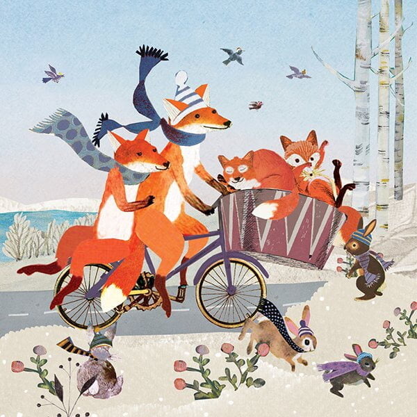 Geboortekaartje, aankondiging, announcement, birth, kaartje, birthcard, card, baby, babycard, Origineel, uniek, feest, vintage, retro, poesie, nostalgie, gezellig, vrolijk, grappig, kleurrijk, stoer, schattig, nostalgisch, fantasie, creatief, art, kunst, illustratie, illustration, kijkplaat, zoekprent, zoekplaat, zoekboek, kinderboek, prentenboek, festival reizen, gepersonaliseerd, Bloemen, dieren, broer, zus, kindje, meisje, jongen, genderneutraal, gender, neutraal, cultuur, inclusief, grote broer grote zus, siblings, grootbroer, vos, vosjes, familie, gezin, bakfiets, bakfietsmoeders, vlinders, vierde kind, winter, ijs, sneeuw, sjaal, tweeling, meerling, twins, twin, twee kindjes