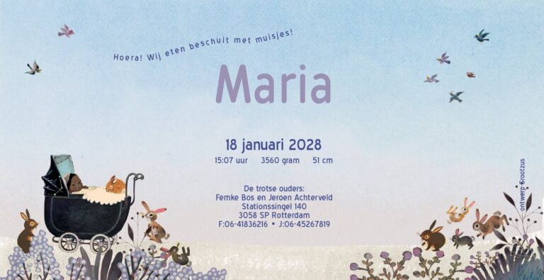 geboortekaartje, nostalgie, vintage, retro, wagentje, kinderwagen, baby, schattig, multi cultureel, teint, tint, huidkleur, huidskleur, van kleur, konijn, konijntjes, park, bos, winter, sneeuw, kou, lila, sfeervol, berk, berkenbos, berkenboom, vogel