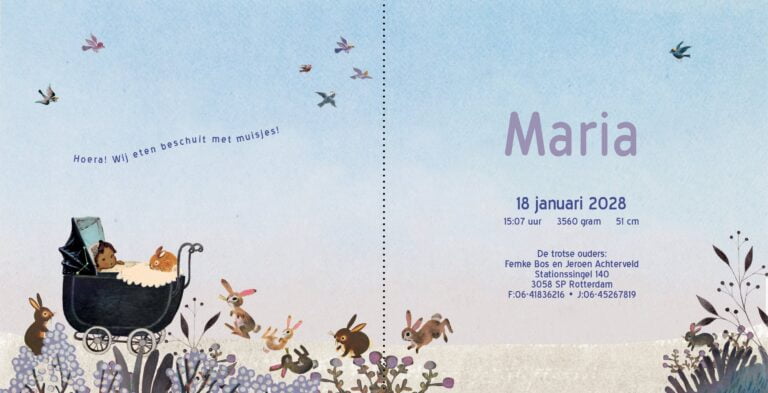 geboortekaartje, nostalgie, vintage, retro, wagentje, kinderwagen, baby, schattig, multi cultureel, teint, tint, huidkleur, huidskleur, van kleur, konijn, konijntjes, park, bos, winter, sneeuw, kou, lila, sfeervol, berk, berkenbos, berkenboom, vogel