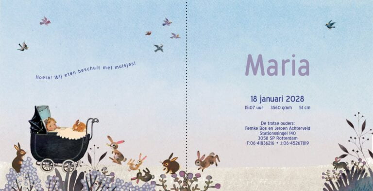 geboortekaartje, nostalgie, vintage, retro, wagentje, kinderwagen, baby, schattig, multi cultureel, teint, tint, huidkleur, huidskleur, van kleur, konijn, konijntjes, park, bos, winter, sneeuw, kou, lila, sfeervol, berk, berkenbos, berkenboom, vogel