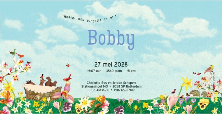 Geboortekaartje aankondiging announcement birth kaartje birthcard card baby babycard Origineel uniek feest vintage retro poesie nostalgie gezellig vrolijk kleurrijk stoer schattig nostalgisch fantasie creatief art kunst illustratie illustration kijkplaat zoekprent zoekplaat zoekboek kinderboek festival reizen gepersonaliseerd Bloemen dieren broer zus kindje meisje jongen genderneutraal gender neutraal cultuur huidskleur zwart donker Turks Chinees halfbloed Marokkaans Aziatisch Surinaams Antilliaans Landschap bos bosdieren konijn das hert Bambi hertjes vos vosje uil haas romantisch poesie nazomer gezellig warm sunset