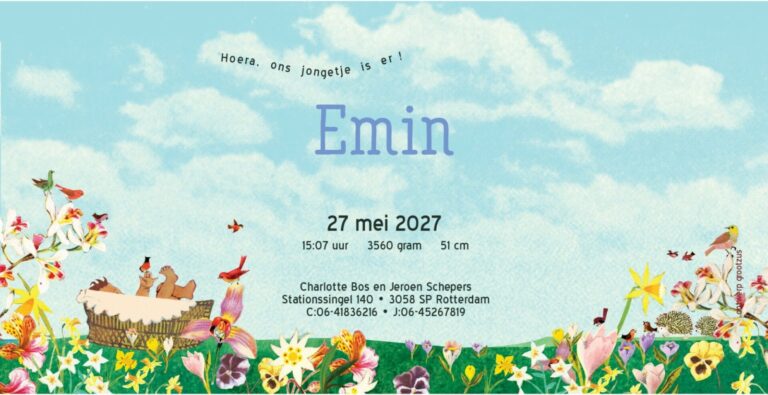 Geboortekaartje aankondiging announcement birth kaartje birthcard card baby babycard Origineel uniek feest vintage retro poesie nostalgie gezellig vrolijk kleurrijk stoer schattig nostalgisch fantasie creatief art kunst illustratie illustration kijkplaat zoekprent zoekplaat zoekboek kinderboek festival reizen gepersonaliseerd Bloemen dieren broer zus kindje meisje jongen genderneutraal gender neutraal cultuur huidskleur zwart donker Turks Chinees halfbloed Marokkaans Aziatisch Surinaams Antilliaans Landschap bos bosdieren konijn das hert Bambi hertjes vos vosje uil haas romantisch poesie nazomer gezellig warm sunset