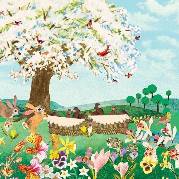 Geboortekaartje aankondiging announcement birth kaartje birthcard card baby babycard Origineel uniek feest vintage retro poesie nostalgie gezellig vrolijk kleurrijk stoer schattig nostalgisch fantasie creatief art kunst illustratie illustration kijkplaat zoekprent zoekplaat zoekboek kinderboek festival reizen gepersonaliseerd Bloemen dieren broer zus kindje meisje jongen genderneutraal gender neutraal cultuur huidskleur zwart donker Turks Chinees halfbloed Marokkaans Aziatisch Surinaams Antilliaans Landschap bos bosdieren konijn das hert Bambi hertjes vos vosje uil haas romantisch poesie nazomer gezellig warm sunset tweeling twin meerling drieling