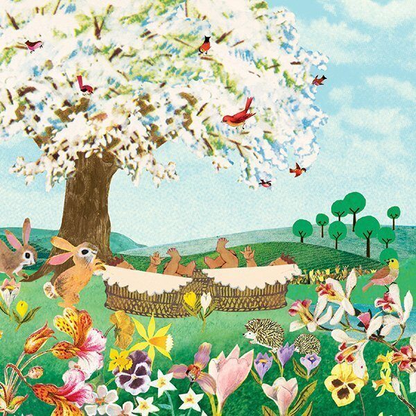 Geboortekaartje aankondiging announcement birth kaartje birthcard card baby babycard Origineel uniek feest vintage retro poesie nostalgie gezellig vrolijk kleurrijk stoer schattig nostalgisch fantasie creatief art kunst illustratie illustration kijkplaat zoekprent zoekplaat zoekboek kinderboek festival reizen gepersonaliseerd Bloemen dieren broer zus kindje meisje jongen genderneutraal gender neutraal cultuur huidskleur zwart donker Turks Chinees halfbloed Marokkaans Aziatisch Surinaams Antilliaans Landschap bos bosdieren konijn das hert Bambi hertjes vos vosje uil haas romantisch poesie nazomer gezellig warm sunset tweeling twin meerling drieling