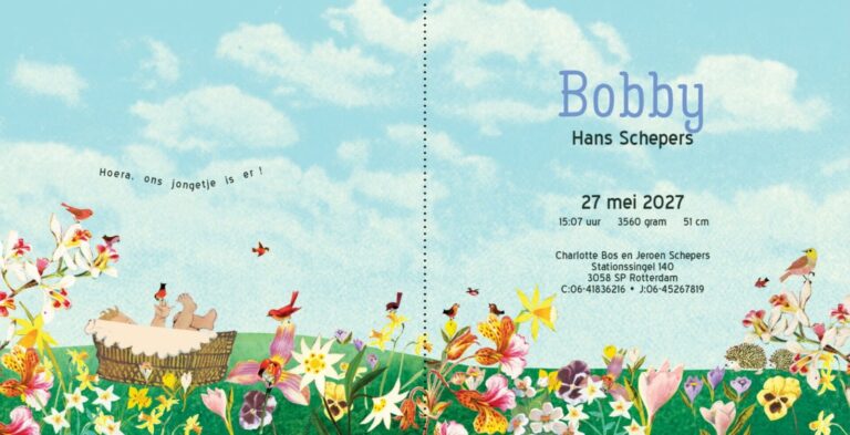 Geboortekaartje aankondiging announcement birth kaartje birthcard card baby babycard Origineel uniek feest vintage retro poesie nostalgie gezellig vrolijk kleurrijk stoer schattig nostalgisch fantasie creatief art kunst illustratie illustration kijkplaat zoekprent zoekplaat zoekboek kinderboek festival reizen gepersonaliseerd Bloemen dieren broer zus kindje meisje jongen genderneutraal gender neutraal cultuur huidskleur zwart donker Turks Chinees halfbloed Marokkaans Aziatisch Surinaams Antilliaans Landschap bos bosdieren konijn das hert Bambi hertjes vos vosje uil haas romantisch poesie nazomer gezellig warm sunset