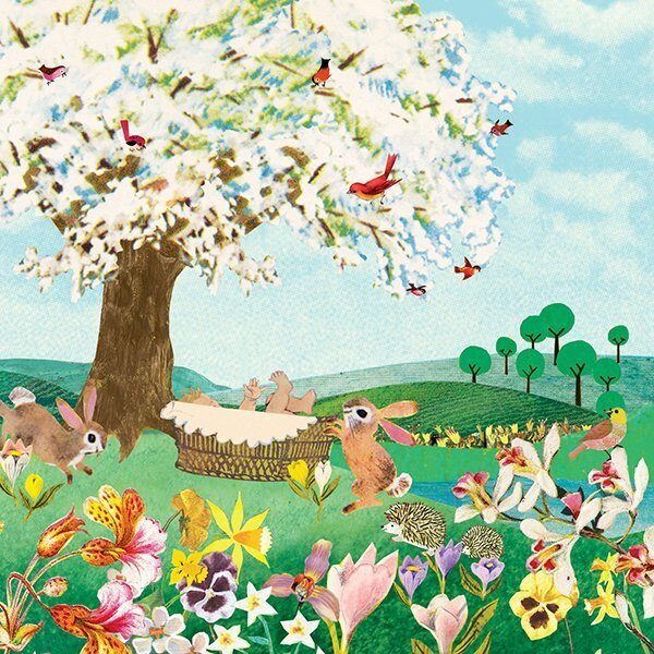 Geboortekaartje aankondiging announcement birth kaartje birthcard card baby babycard Origineel uniek feest vintage retro poesie nostalgie gezellig vrolijk kleurrijk stoer schattig nostalgisch fantasie creatief art kunst illustratie illustration kijkplaat zoekprent zoekplaat zoekboek kinderboek festival reizen gepersonaliseerd Bloemen dieren broer zus kindje meisje jongen genderneutraal gender neutraal cultuur huidskleur zwart donker Turks Chinees halfbloed Marokkaans Aziatisch Surinaams Antilliaans Landschap bos bosdieren konijn das hert Bambi hertjes vos vosje uil haas romantisch poesie nazomer gezellig warm sunset