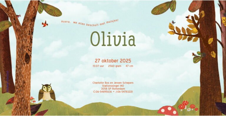 Geboortekaartje, aankondiging, announcement, birth, kaartje, birthcard, card, baby, babycard, Origineel, uniek, feest, vintage, retro, poesie, nostalgie, gezellig, vrolijk, grappig, kleurrijk, stoer, schattig, nostalgisch, fantasie, creatief, art, kunst, illustratie, illustration, kijkplaat, zoekprent, zoekplaat, zoekboek, kinderboek, prentenboek, festival reizen, gepersonaliseerd, Bloemen, dieren, broer, zus, kindje, meisje, jongen, genderneutraal, gender, neutraal, cultuur, inclusief, grote broer grote zus, siblings, grootbroer, uil, uitjes bos, tak, gezellig, grappig, familie, gezin, bakfiets, bakfietsmoeders, vlinders, herfst, bladeren, paddestoelen, rood met witte stippen, bruin, oranje, eerste kind,