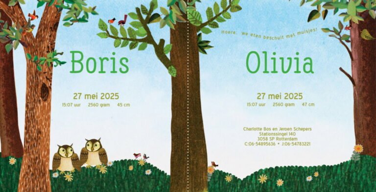 Geboortekaartje, aankondiging, announcement, birth, kaartje, birthcard, card, baby, babycard, Origineel, uniek, feest, vintage, retro, poesie, nostalgie, gezellig, vrolijk, grappig, kleurrijk, stoer, schattig, nostalgisch, fantasie, creatief, art, kunst, illustratie, illustration, kijkplaat, zoekprent, zoekplaat, zoekboek, kinderboek, prentenboek, festival reizen, gepersonaliseerd, Bloemen, dieren, broer, zus, kindje, meisje, jongen, genderneutraal, gender, neutraal, cultuur, inclusief, grote broer grote zus, siblings, grootbroer, uil, uitjes bos, tak, gezellig, grappig, familie, gezin, bakfiets, bakfietsmoeders, vlinders, eerste kind,