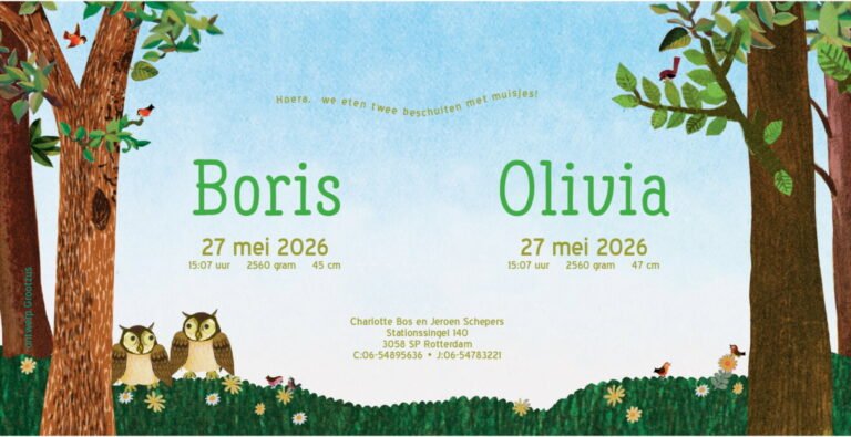 Geboortekaartje, aankondiging, announcement, birth, kaartje, birthcard, card, baby, babycard, Origineel, uniek, feest, vintage, retro, poesie, nostalgie, gezellig, vrolijk, grappig, kleurrijk, stoer, schattig, nostalgisch, fantasie, creatief, art, kunst, illustratie, illustration, kijkplaat, zoekprent, zoekplaat, zoekboek, kinderboek, prentenboek, festival reizen, gepersonaliseerd, Bloemen, dieren, broer, zus, kindje, meisje, jongen, genderneutraal, gender, neutraal, cultuur, inclusief, grote broer grote zus, siblings, grootbroer, uil, uitjes bos, tak, gezellig, grappig, familie, gezin, bakfiets, bakfietsmoeders, vlinders, eerste kind,