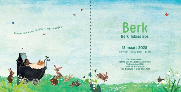 geboortekaartje, nostalgie, vintage, retro, wagentje, kinderwagen, baby, schattig, multi cultureel, teint, tint, huidkleur, huidskleur, van kleur, konijn, konijntjes, park, bos, plas, meer, waterkant, lente, voorjaar, vogeltjes, bloesem, kersenbloesem, weide, rivier, berk, berkenboom