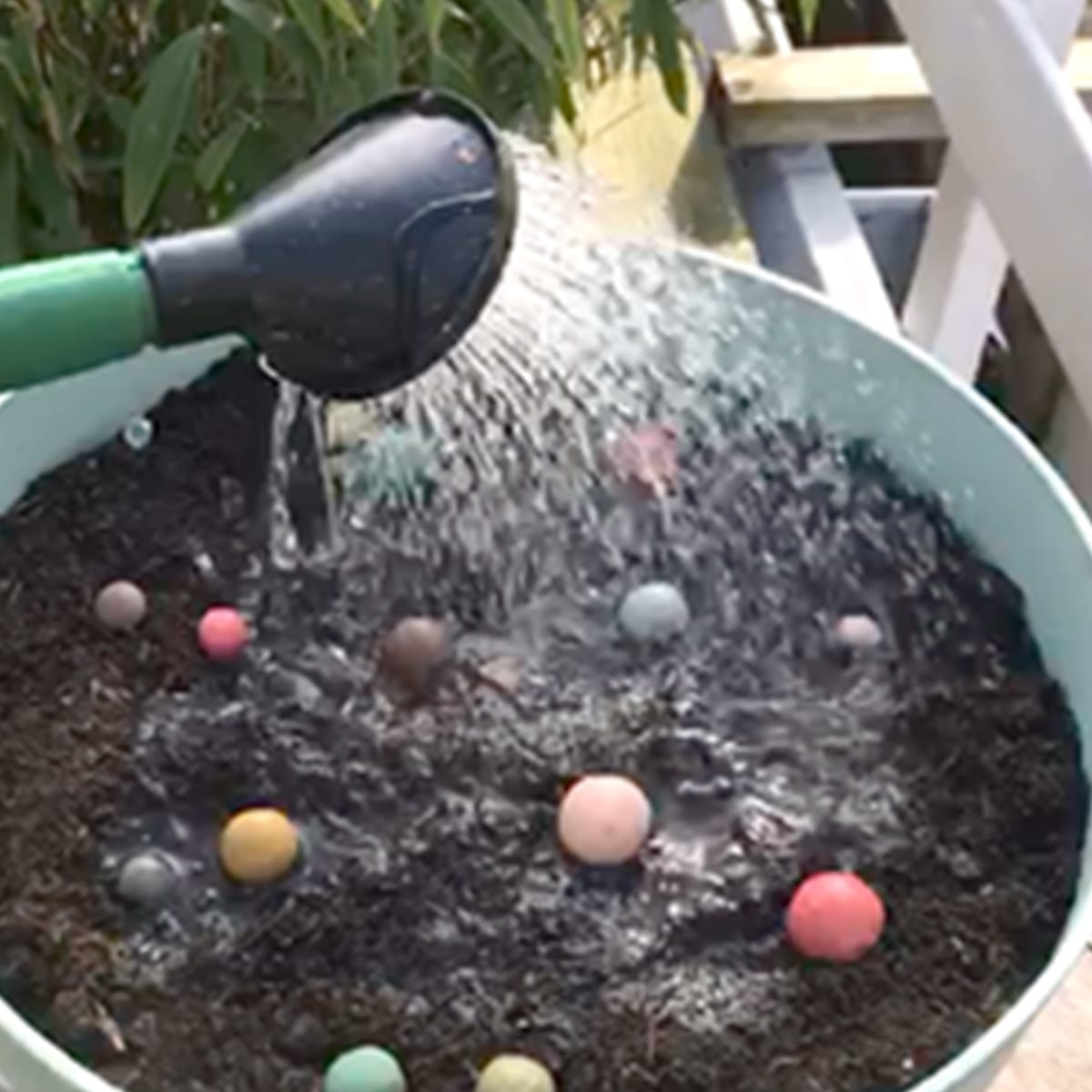 Bloesem zaadbommetjes van Blossombs in Sinterklaas zakje