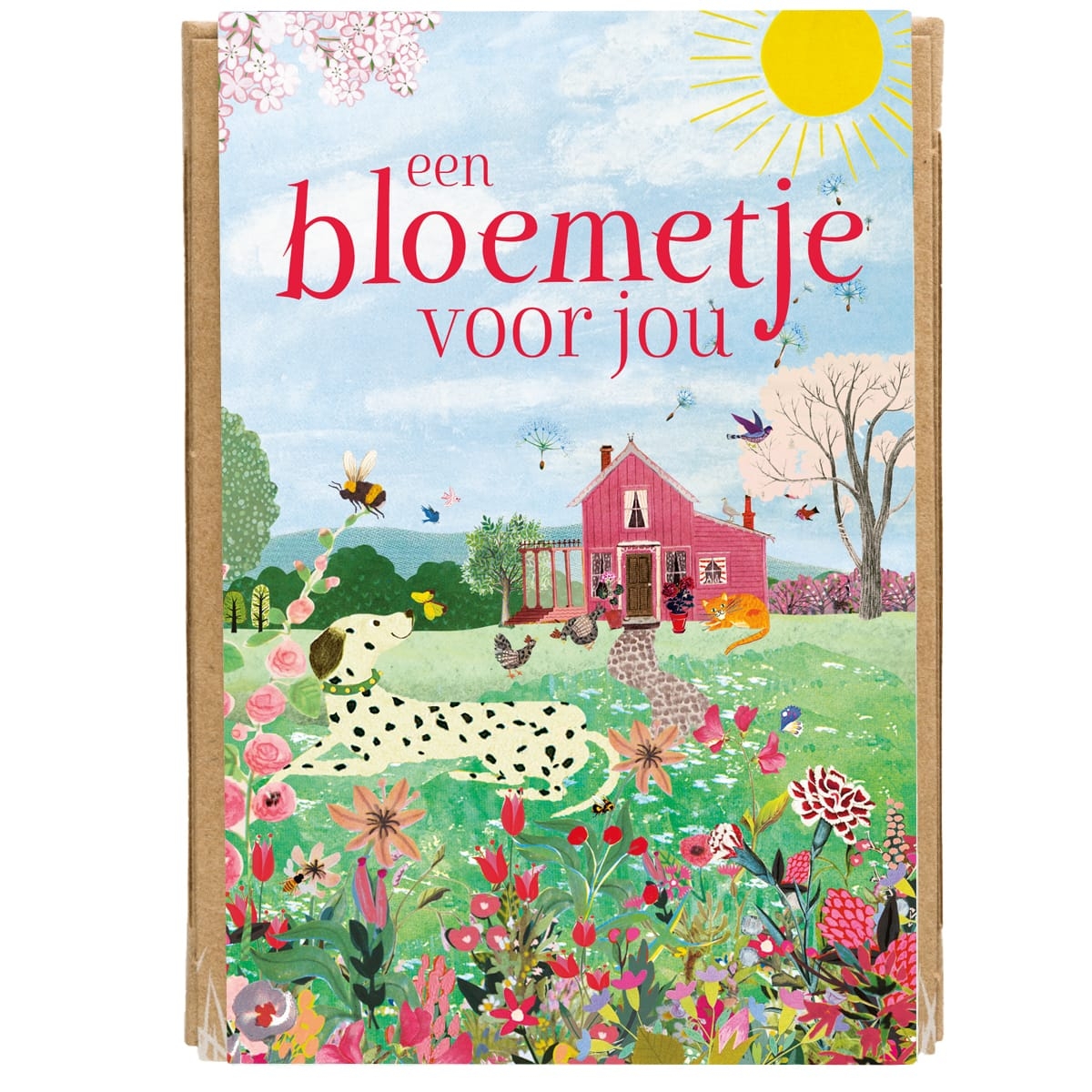 Doosje met 4 zaadbommetjes van Blossombs met kleurrijke bloementuin en roze huis