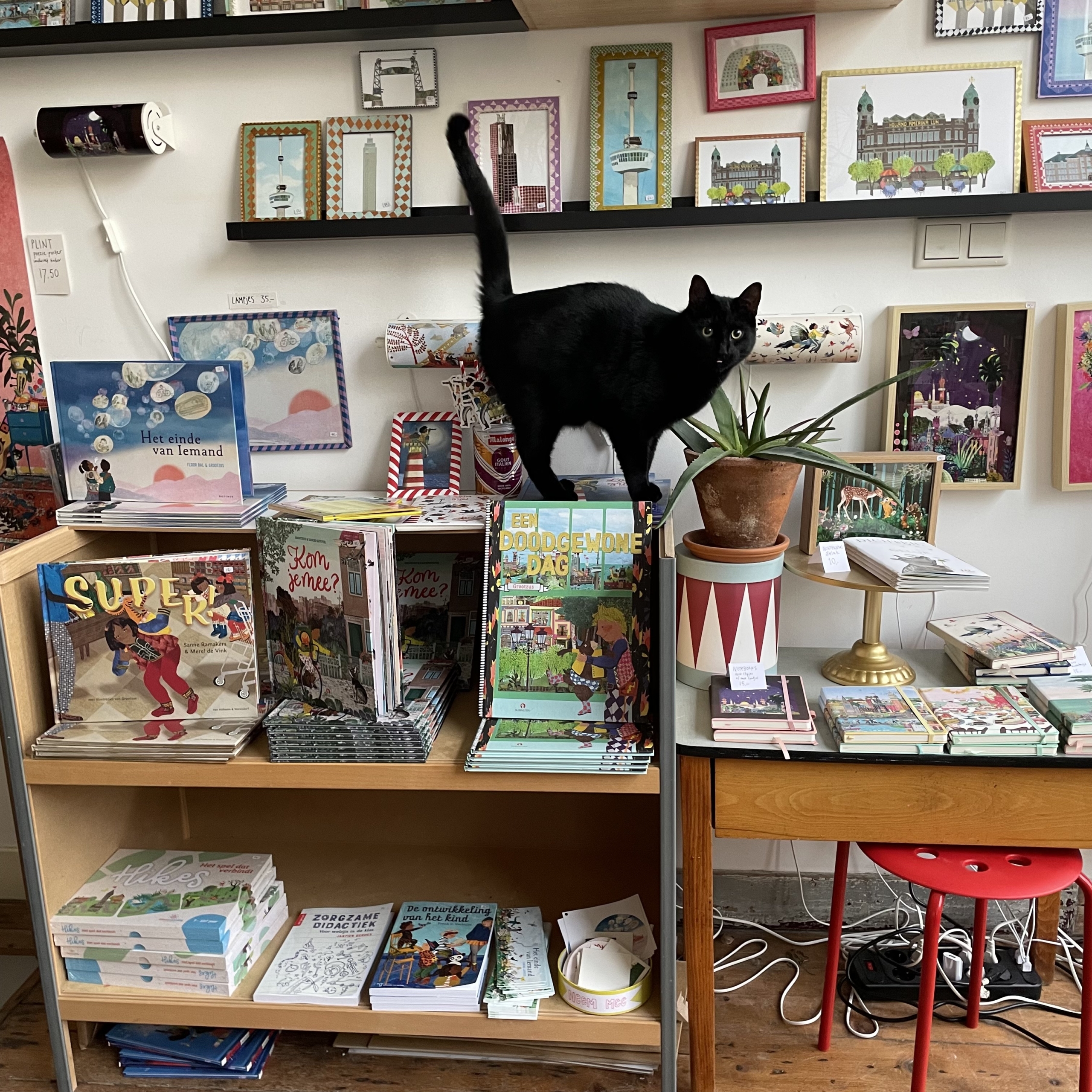 cadeauwinkel illustratie Grootzus Kralingen Oostzeedijk illustraties posters ansichtkaarten boeken Francien Verhulst